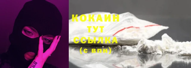 стафф Магас
