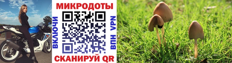 Галлюциногенные грибы MAGIC MUSHROOMS  Купить где  Яранск 